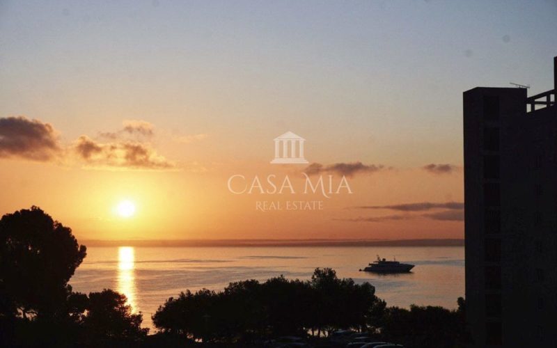 www.casamia-mallorca.com